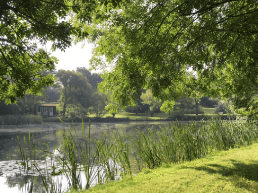 BRETT VALE GOLF CLUB