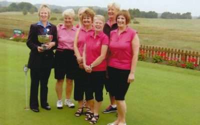 Stearn Final 2011