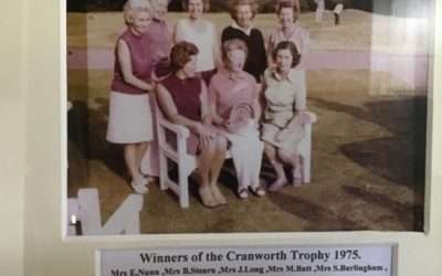Flempton beats Lowestoft in Cranworth