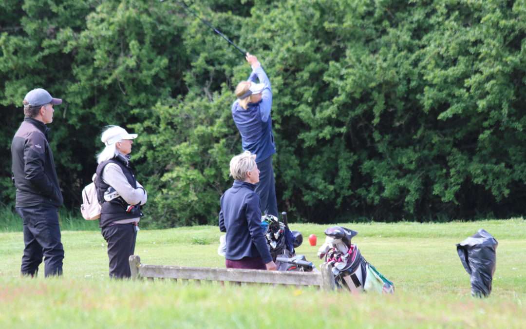 Seniors Championship Semi-finals