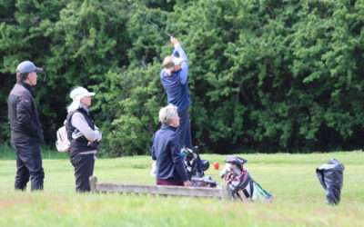 Seniors Championship Semi-finals