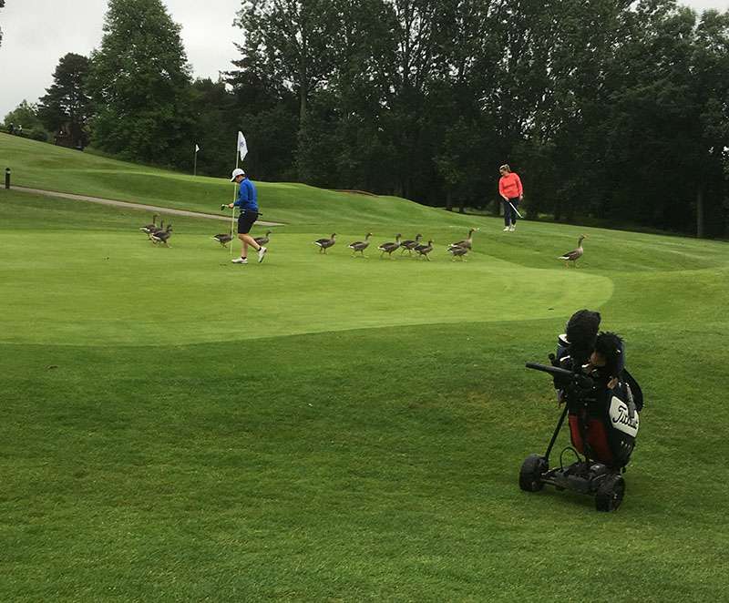 County Match Week – the final day