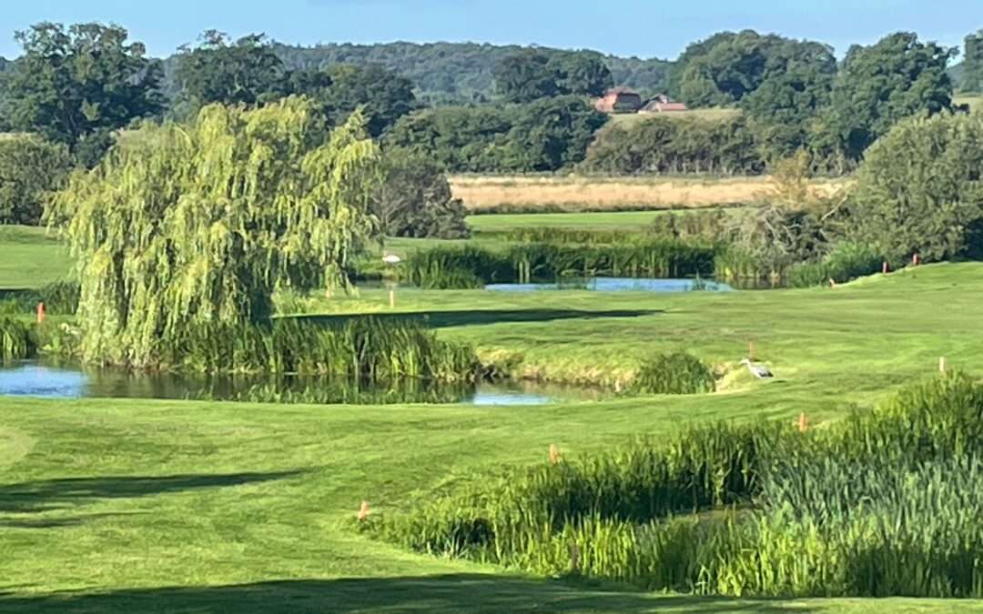 Junior County Match Days – Day 2
